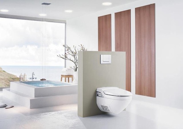 House Geberit Model Balena Shower Toilet
